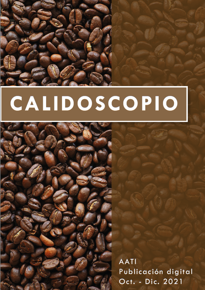 cali-oct-dic-2021-800x1129-q85